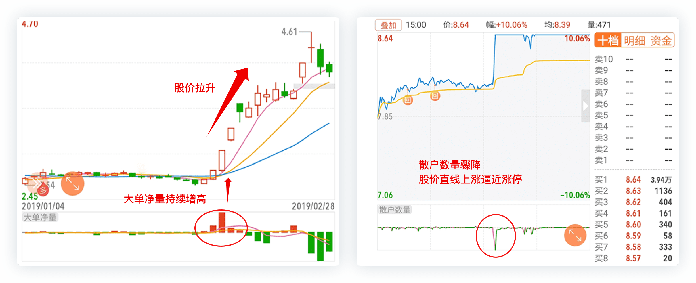 股掌柜-level2-大单净量 散户数量